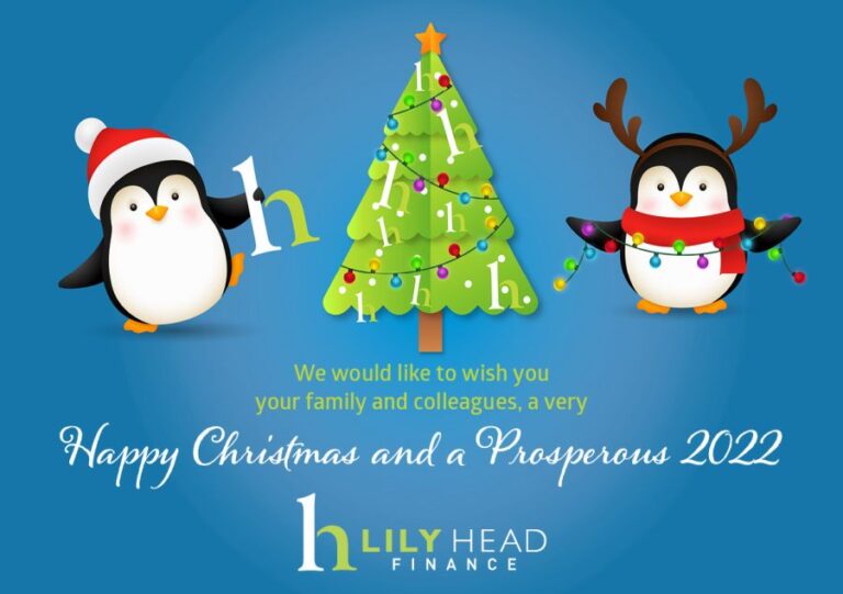 Merry Christmas 2021 - Lily Head Finance